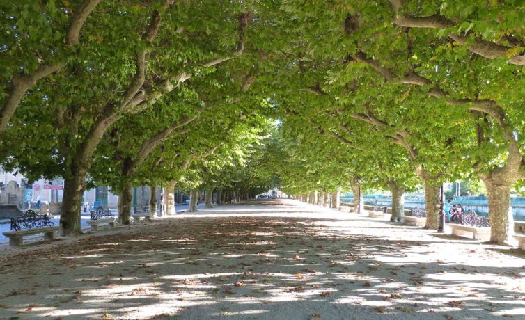 QUEVER-PASEO-ESPOLON