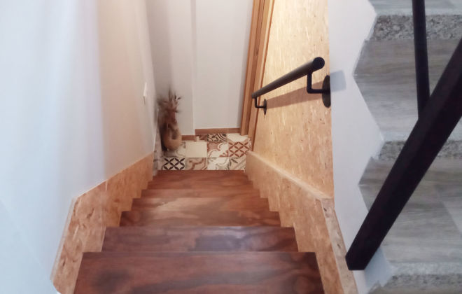 ALBERGUE (18)